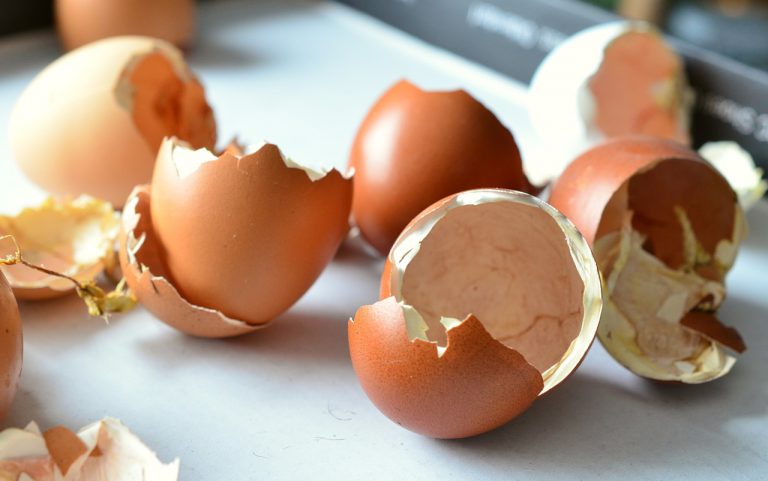 Los usos de las cáscara de huevo en el huerto