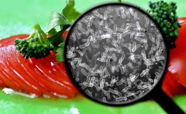 Como prevenir la contaminación de Salmonella en alimentos