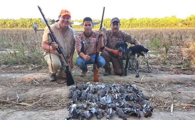 Polémica: cazar y comer palomas para «alimentar a la población»