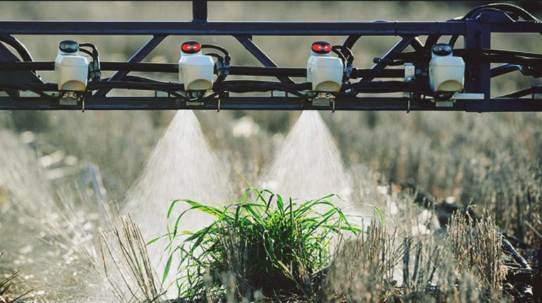 ¿Cómo aplicar herbicidas sólo a las malezas sin afectar al resto de la vegetación?