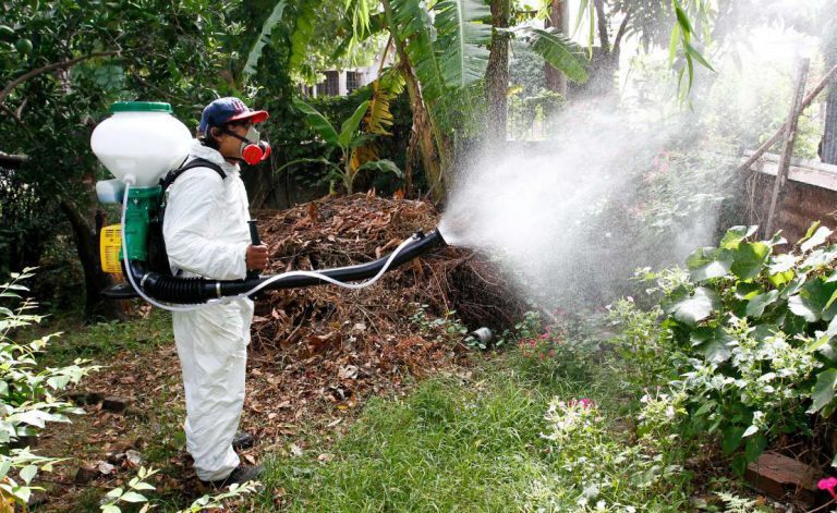 ¿Qué tan efectiva es la fumigación contra el mosquito del dengue?