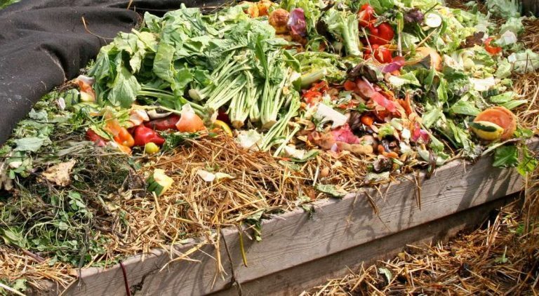 El Mercado Central tendrá una planta de compostaje