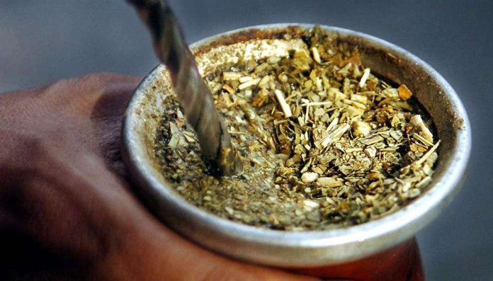arrojar yerba mate a las plantas 4