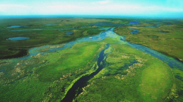 ¿Qué son los sitios Ramsar? - Infoagro