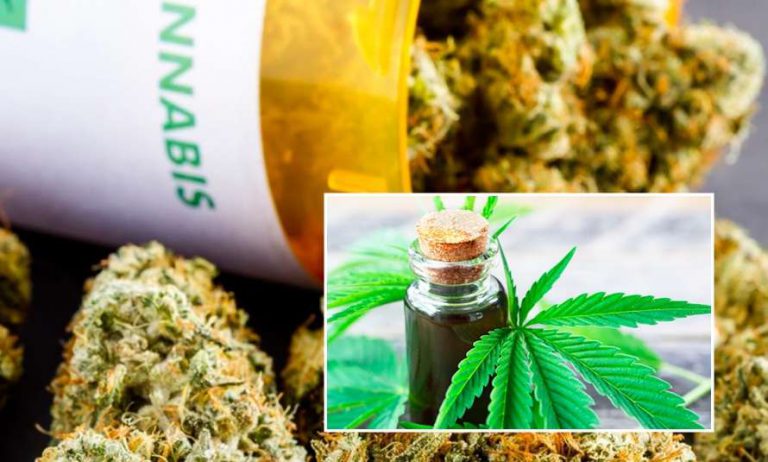 ¿Cuáles son los usos del cannabis medicinal?