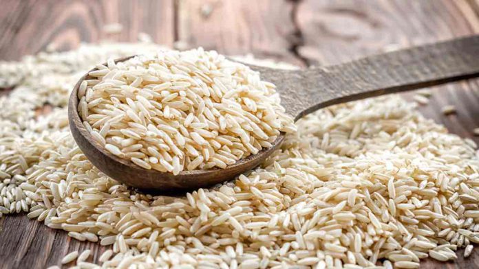 variedades de arroz 3