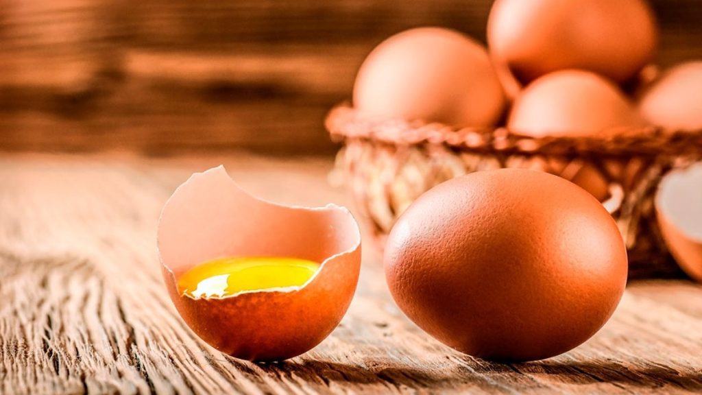 El huevo: Una cápsula que almacena un súper alimento repleto de ...