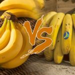 Bananas y platanos