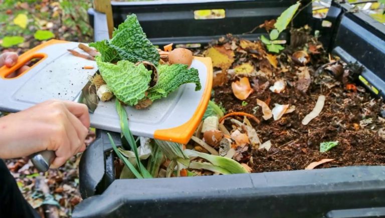 Abono para huerta y jardín con los residuos de la comida