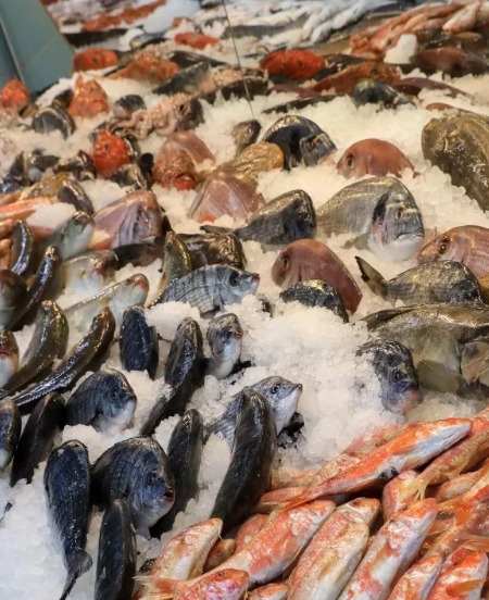 Por qué se consume pescado en Semana Santa? - Infoagro