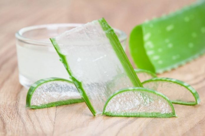 aloe
