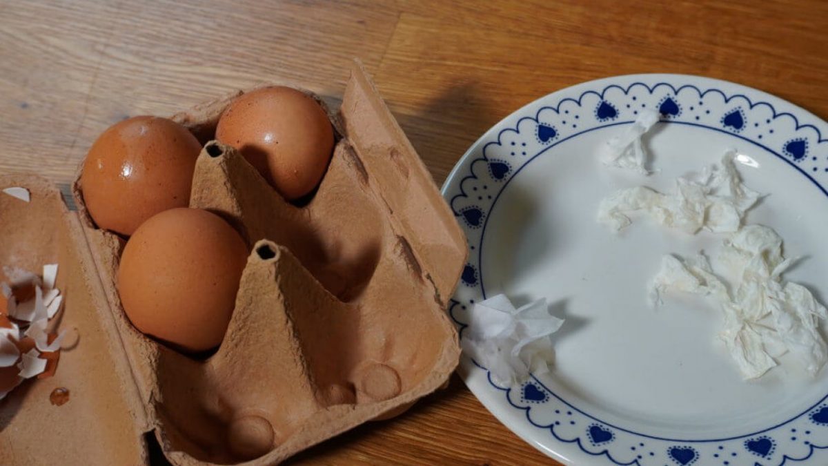 ¿Cómo obtener colágeno de la cáscara del huevo? Infoagro