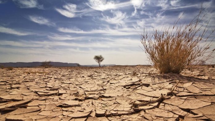 desertificacion