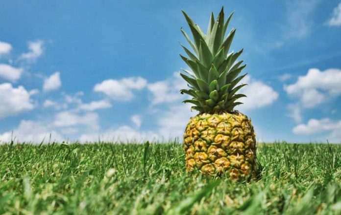 Anana
