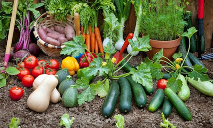 Huerta