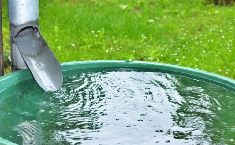 Guía para cosechar el agua de lluvia de manera correcta