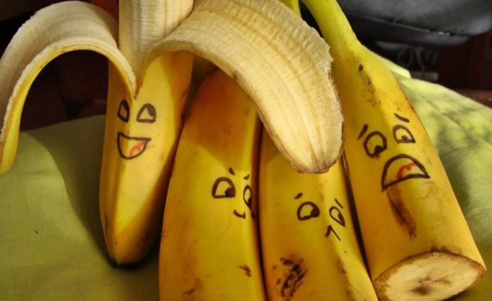 Bananas 3