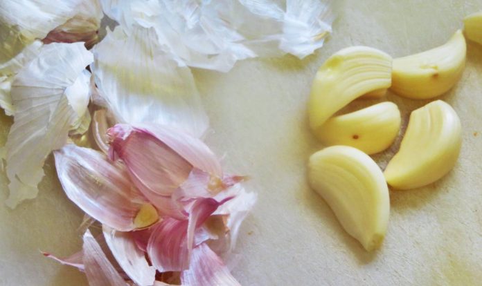 fertilizante con piel de ajo 1