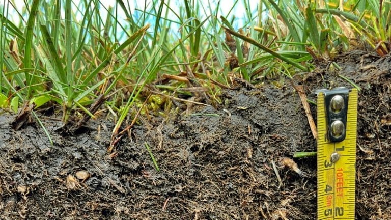 ¿Cuándo no llueve, dónde van a parar los restos de fertilizantes en el suelo?