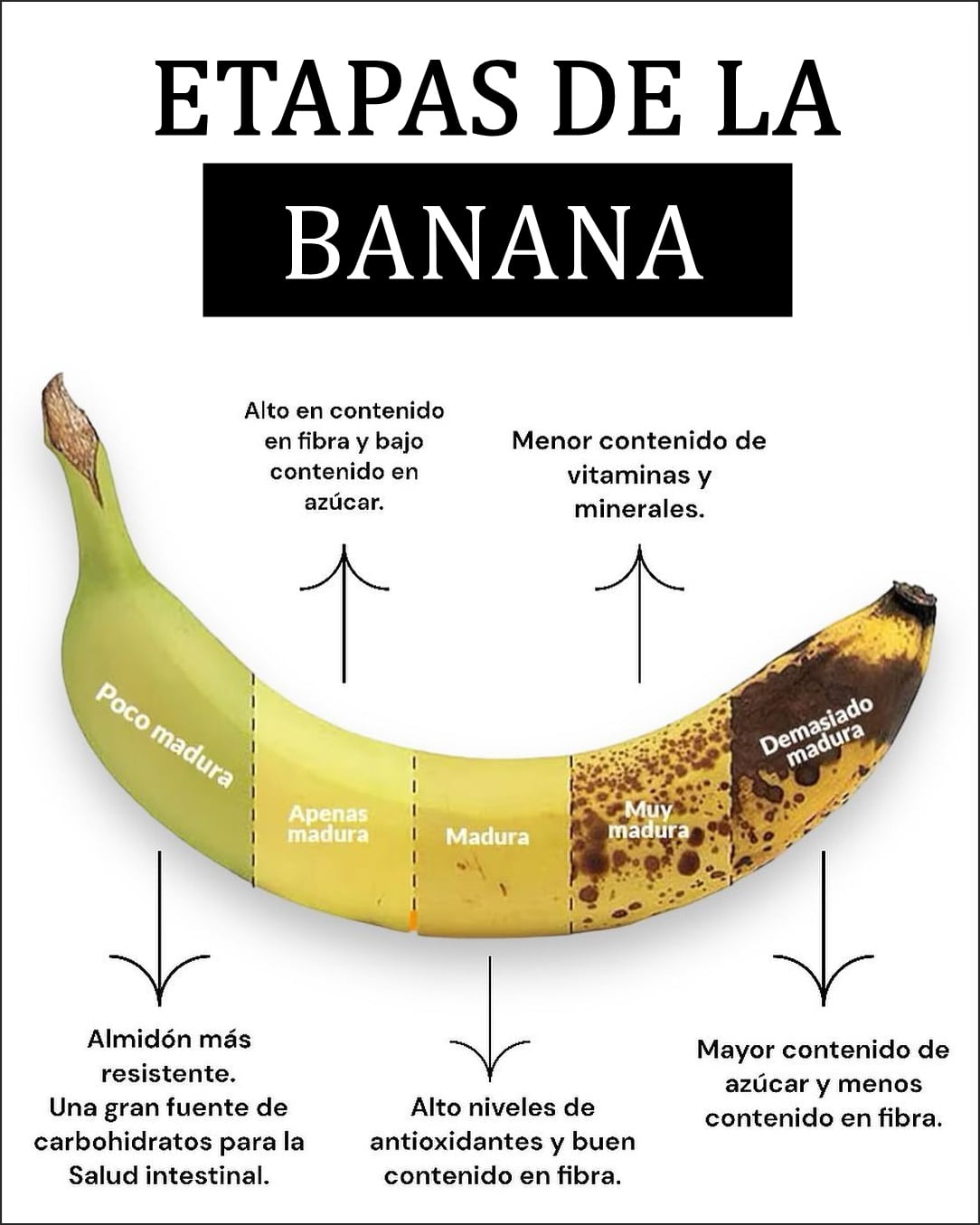 Estas son las etapas de maduración de la banana para que sepas en que ...