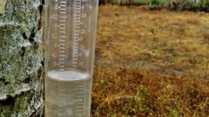 Pron stico del tiempo para Resistencia. Chaco. Argentina Infoclima