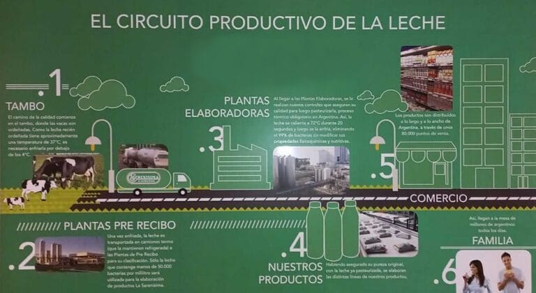 Circuito productivo de la leche: Del tambo hasta la mesa - Infoagro