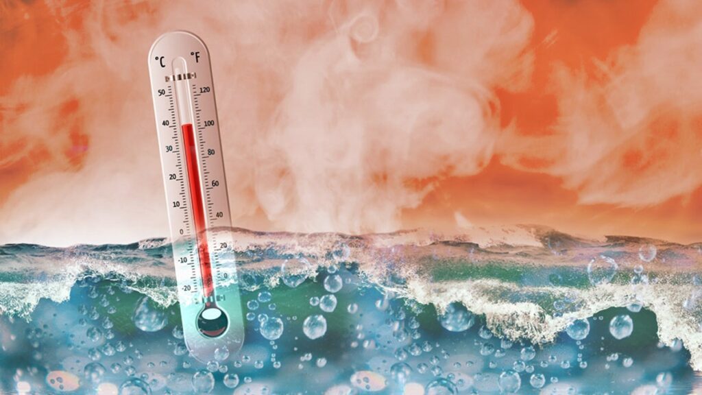 Explicado el calor extremo: Causas y consecuencias de las olas de calor ...