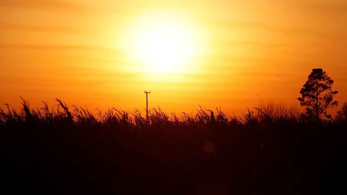 Conoce La Incre ble Historia Del Dulce De Leche Argentino Infoagro
